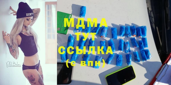 шишки Белоозёрский