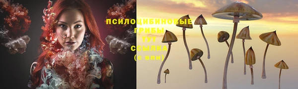 spice Баксан