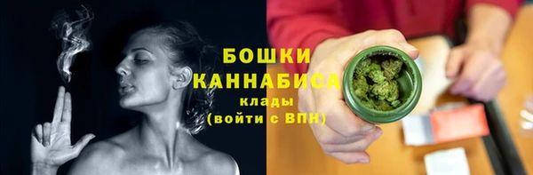 шишки Белоозёрский