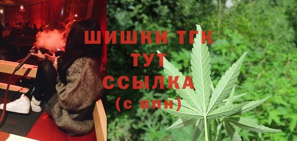 шишки Белоозёрский