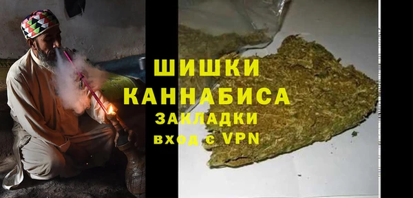 шишки Белоозёрский