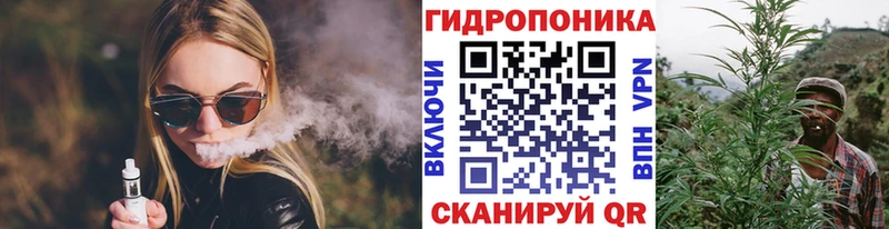 дарк нет формула  Короча  Канабис планчик 